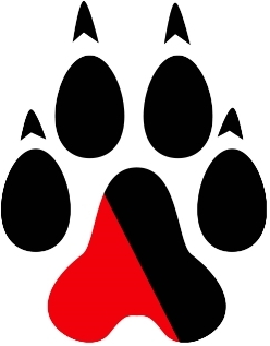 Northeastern Huskies 2007-Pres Alternate Logo diy fabric transfer